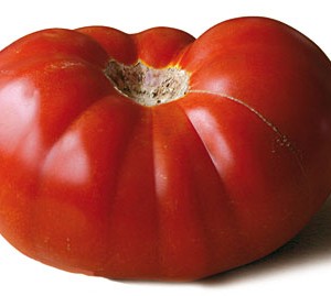Tomate-perf