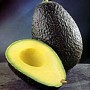 avocado_hass
